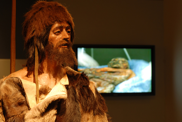 A large scale and life-like three dimensional 'reconstruction' of what Otzi the Iceman may have looked like