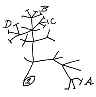 Darwin's evolutionary theory tree of life sketch of 1837