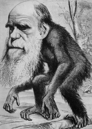 Darwin caricaturized with his own head sitting on an chimpanzee body