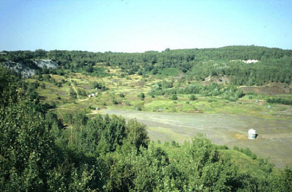 [view of messel shale pit site source of Eocene fossils]