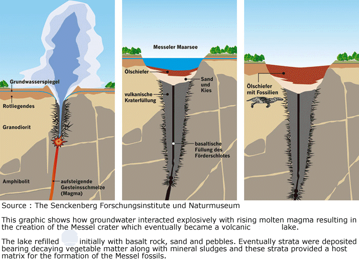 german language graphic showing geology behind the formation of the messel shale pit