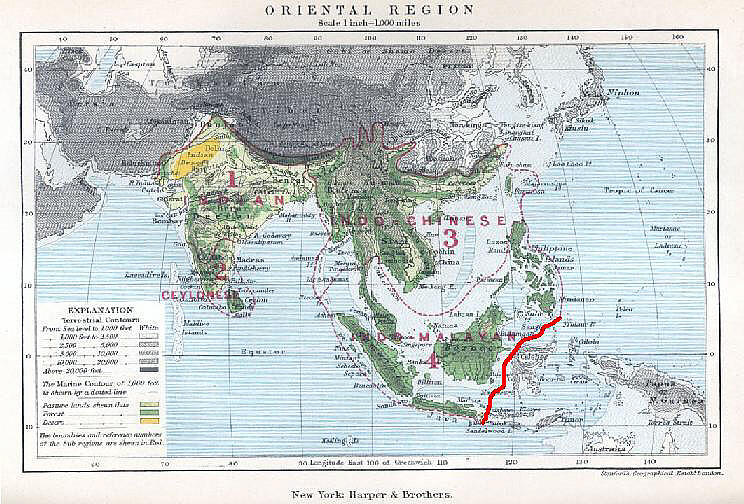 map of the area between Malaysia and Australia showing the location of Wallace's Line