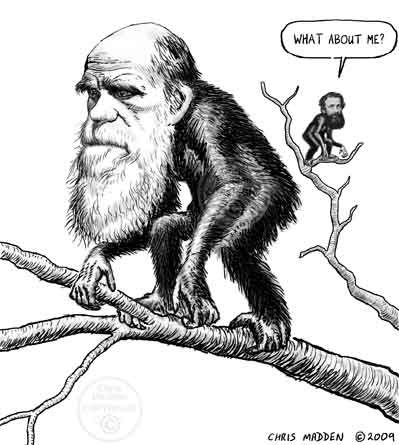 caricature of Darwin and Wallace with Wallace being depicted as a much smaller figure saying - what about me