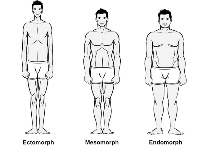 A picture of three Bodytypes by Granito Diaz, showing representations of Mesomorphy, Endomorphy and Ectomorphy