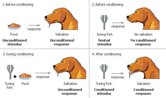 Ivan Pavlov classical conditioning reflex