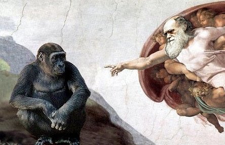 picture showing a parody of Michaelangelo's painting in relation to Darwin and evolution