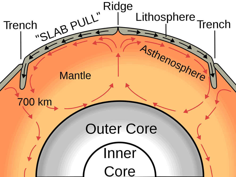 Why do the Earth's plates move?